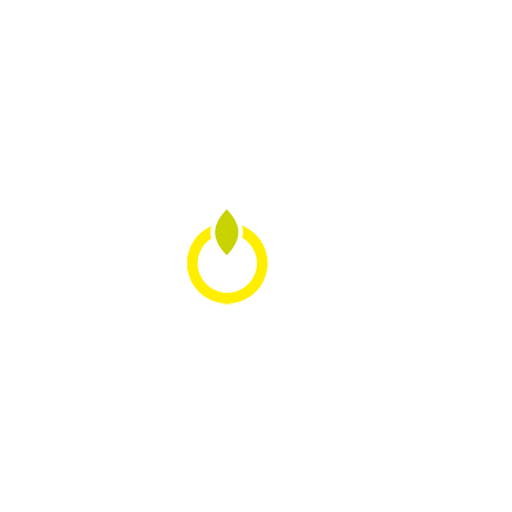 lemontech